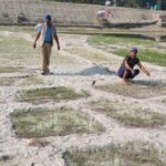 bagar-kheti-768x384