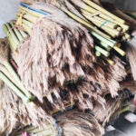 Amriso-ko-Kucco-(2)