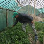 Untitled-3 (2)