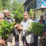 Orange-Biruwa-Taplejung