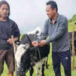 Yak_Chauri_Bitaran