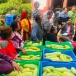 कृषि उपज बजारीकरणमा गुल्मीको सत्यवती गाउँपालिका : गाउँदेखि शहरसम्म संकलन र विक्रीवितरण ok