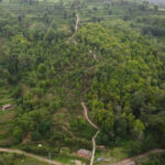 Untitled-7 (1)