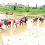 ropain-at-sankhu-4_bikash-dware