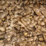 आर्थिक वर्ष २०८२/८३ मा नेपालबाट  डेढ अर्बको अदुवा निर्यात
