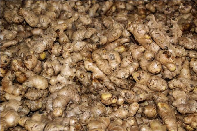 आर्थिक वर्ष २०८२/८३ मा नेपालबाट  डेढ अर्बको अदुवा निर्यात