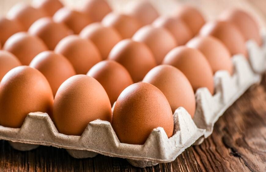 Egg price started to rise