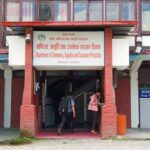 प्रतिबन्धित वस्तुको आयात, भण्डारण र बिक्री वितरण तत्काल रोक्न चेतावनी 
